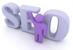 Search Engine Optimization