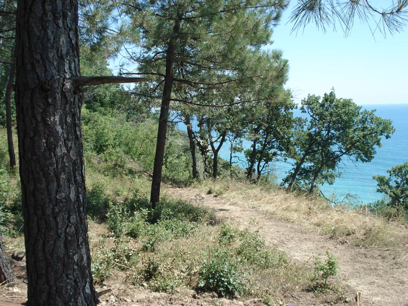 Продава Парцел на Морето Варна Галата,Черно Море брега - Панорама