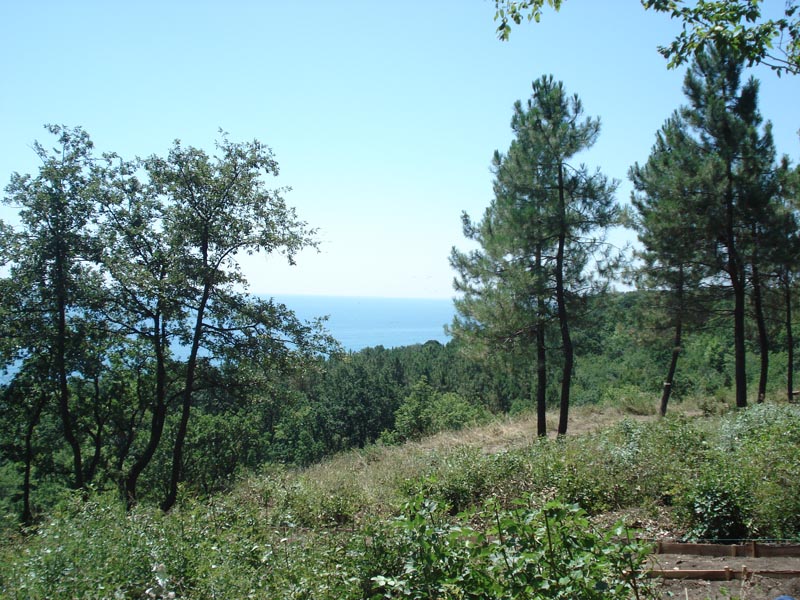Продава Парцел на Морето Варна Галата,Черно Море брега - Панорама