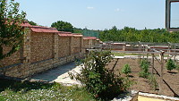 Pisarevo