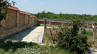 Pisarevo