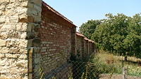 Pisarevo