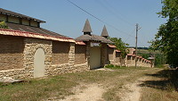Pisarevo
