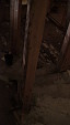 Pisarevo