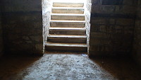 Pisarevo